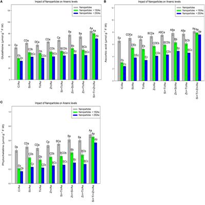 Insight into the biochemical and physiological mechanisms of nanoparticles-induced arsenic tolerance in bamboo
